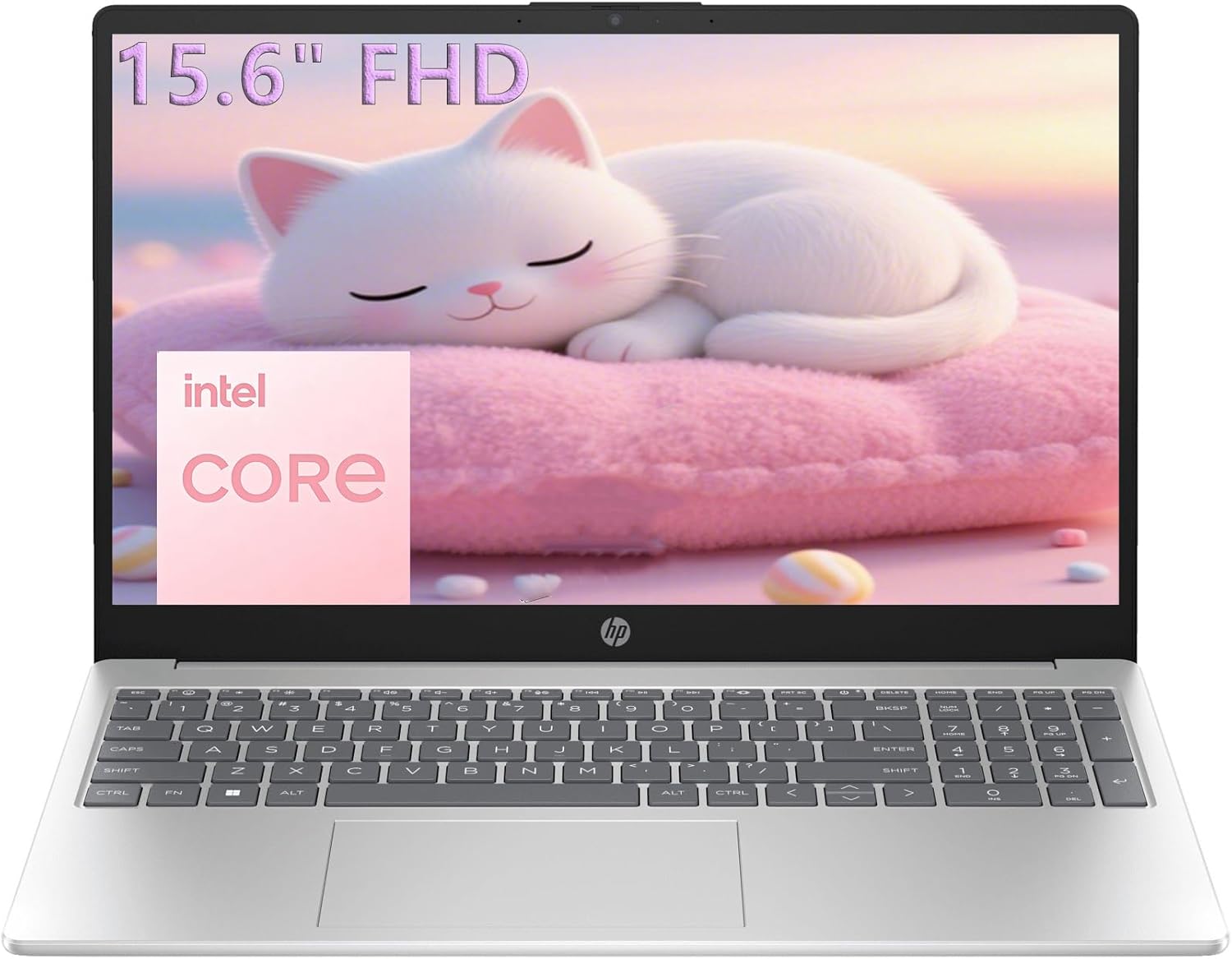 HP 15.6 FHD Laptop