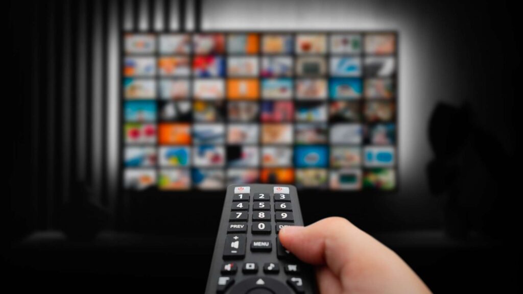 Cable TV or Premium Channels