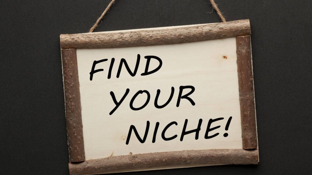 Define the Niche