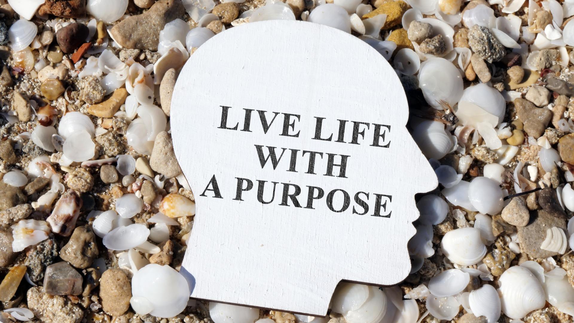 Live With Purpose Each Day