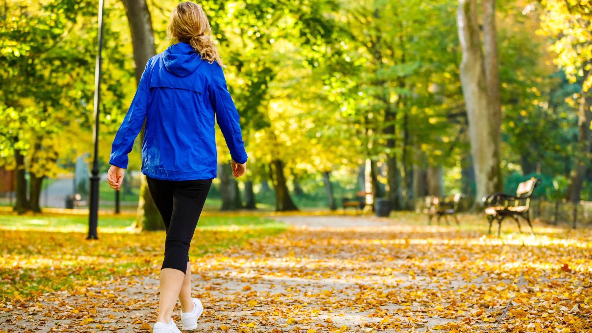 Plan for High Calorie Days