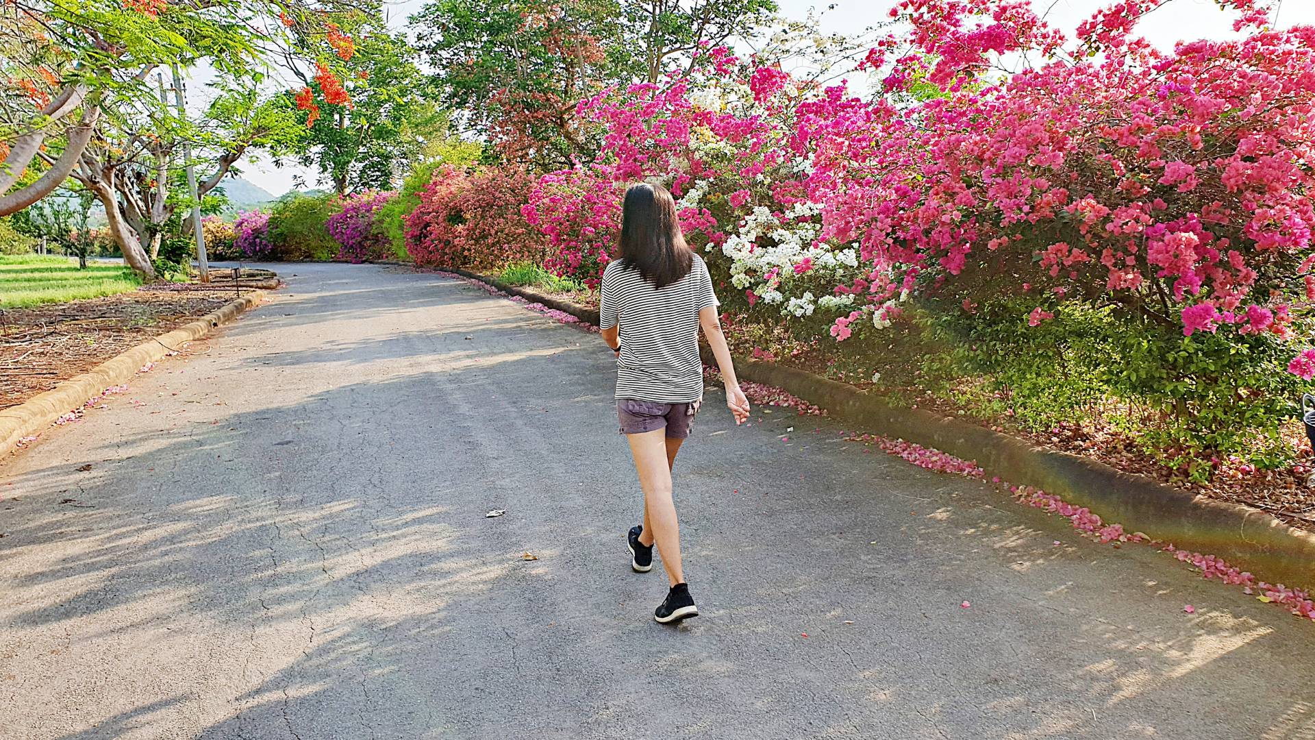 Walk for Ten Minutes