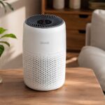 Levoit Air Purifier Core Mini-P Review