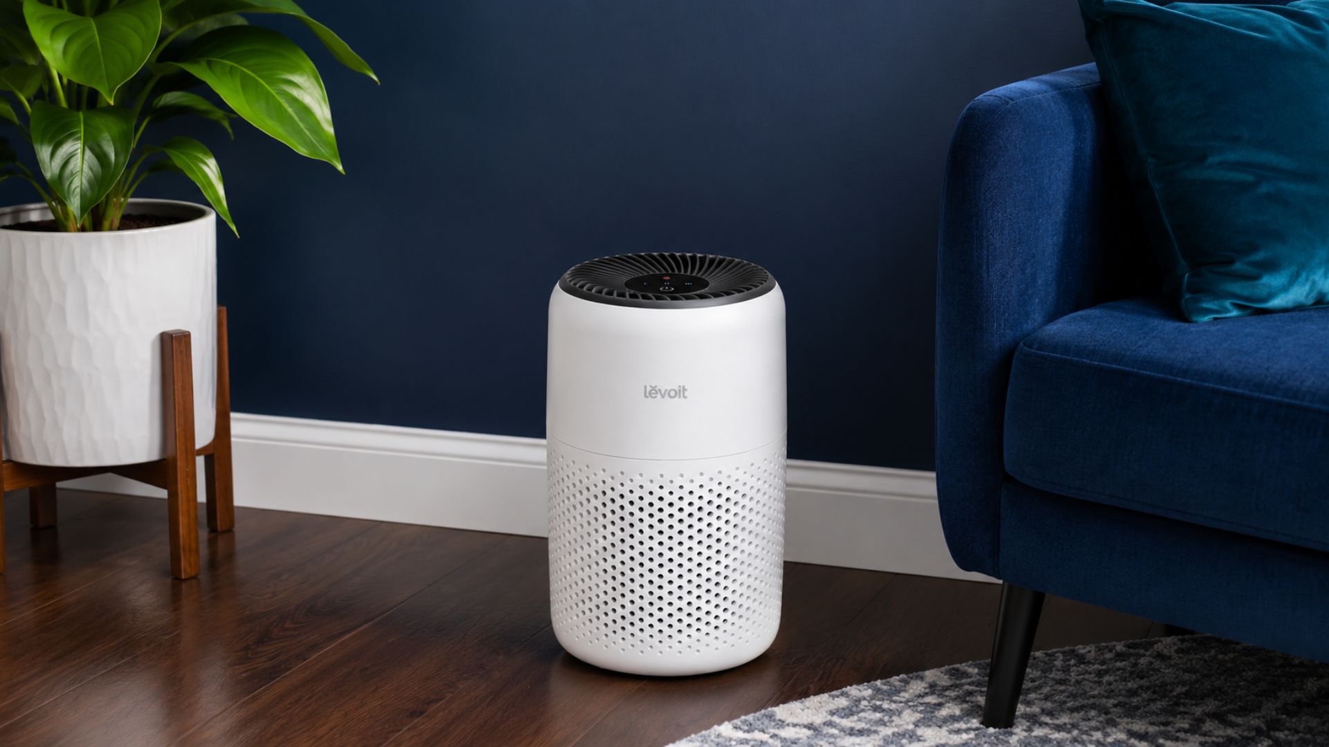 How Does the Levoit Core Mini-P Work?